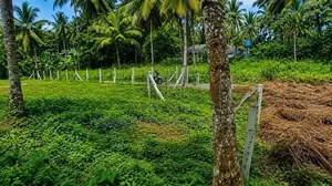 Land for Sale Kaduwela