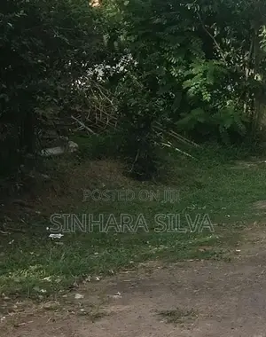 Land For Sale Wadduwa