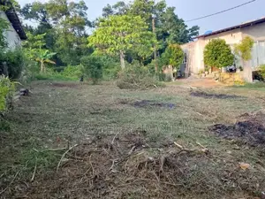 Ten Perches Land For Sale In Homagama