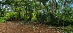 Land for Sale Kaduwela