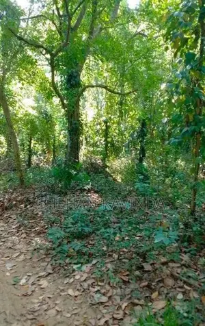 ඉඩමක් විකිනීමට Wellawaya