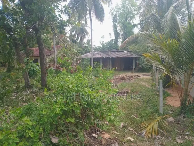 Land Sale In Hettigama