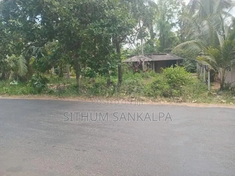 Land Sale In Hettigama