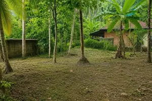 උඩුගම්පොළ - වීදියවත්ත ආසන්නයෙන් පර්චස් 40 ක වටිනා ඉඩමක් විකිණීමට