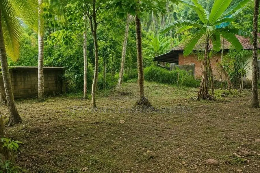උඩුගම්පොළ - වීදියවත්ත ආසන්නයෙන් පර්චස් 40 ක වටිනා ඉඩමක් විකිණීමට