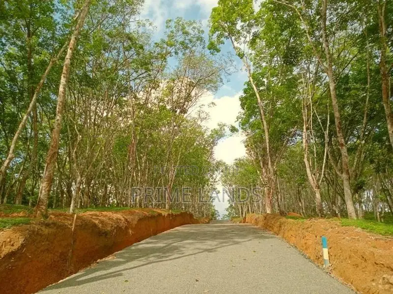 අහංගම සංචාරක කලාපයට ආසන්නව බිම් කොටස්