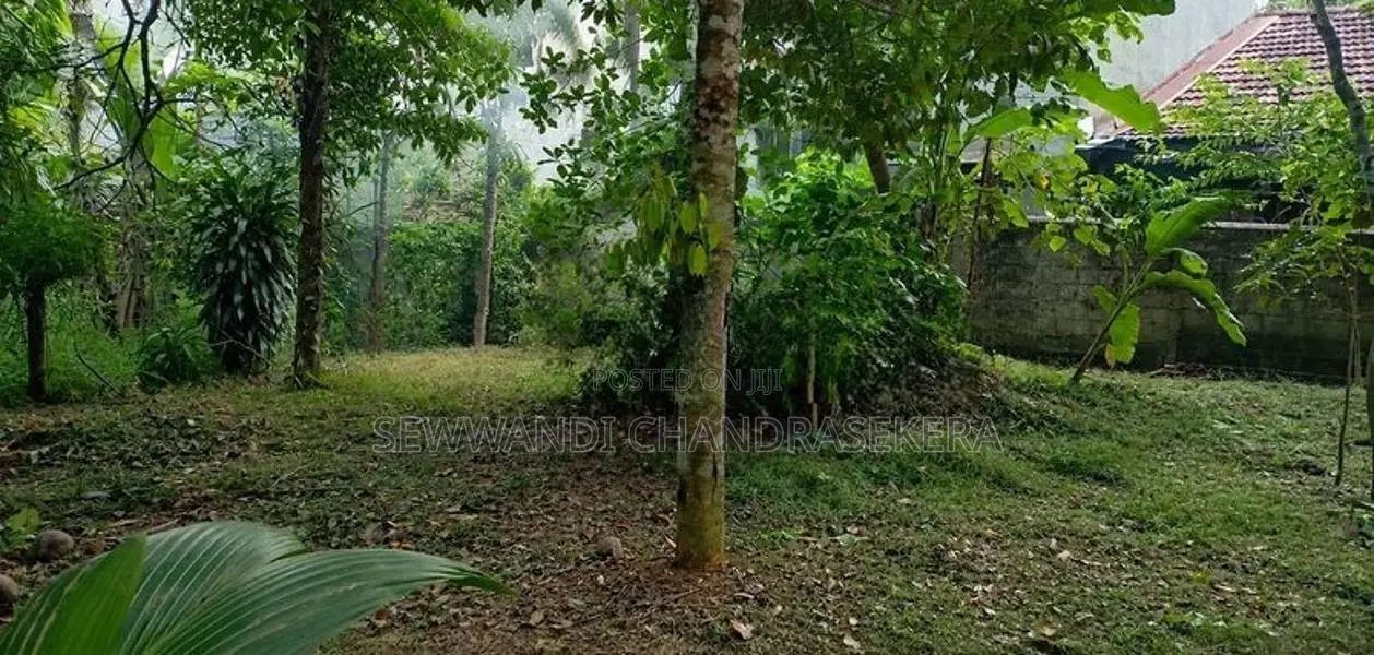 උඩුගම්පොළ - වීදියවත්ත ආසන්නයෙන් පර්චස් 40 ක වටිනා ඉඩමක් විකිණීමට
