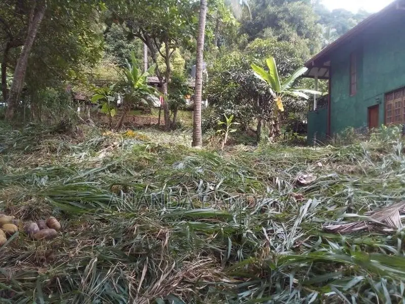 ගන්නෝරුවේ ඉඩමක් විකිණීමට