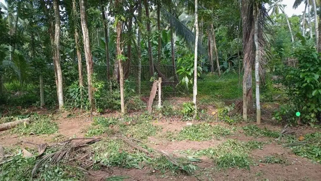 උඩුගම්පොළ - වීදියවත්ත ආසන්නයෙන් පර්චස් 40 ක වටිනා ඉඩමක් විකිණීමට