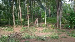 උඩුගම්පොළ - වීදියවත්ත ආසන්නයෙන් පර්චස් 40 ක වටිනා ඉඩමක් විකිණීමට