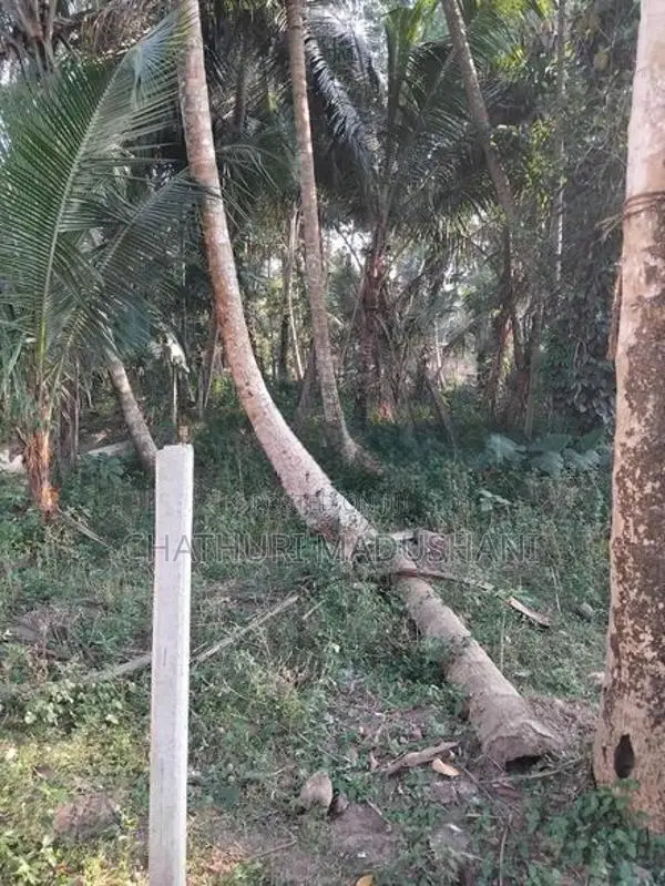 Land for Sale in Wadduwa