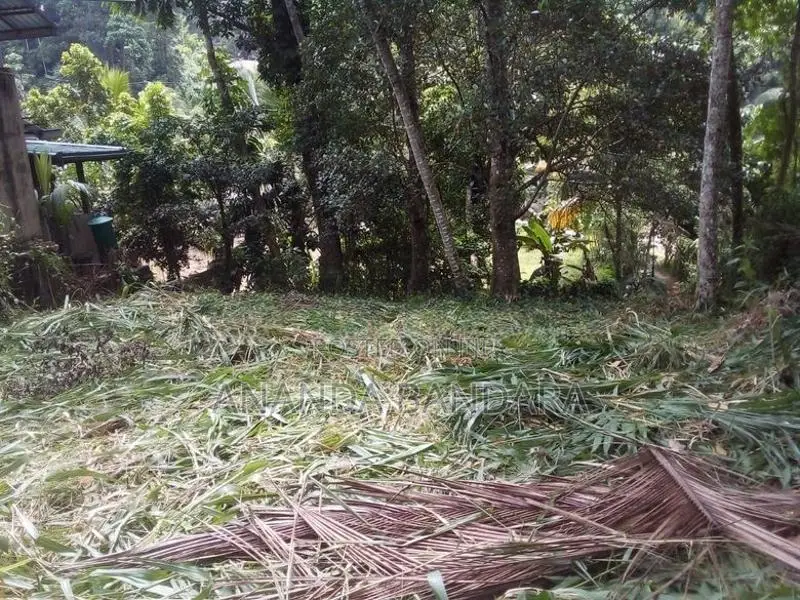 ගන්නෝරුවේ ඉඩමක් විකිණීමට