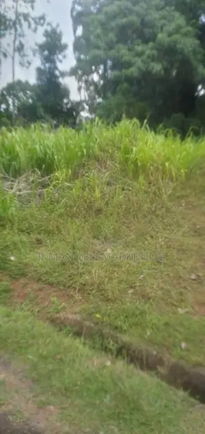 Land for Sale in Panadura - Hirana