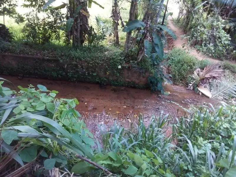 ගන්නෝරුවේ ඉඩමක් විකිණීමට