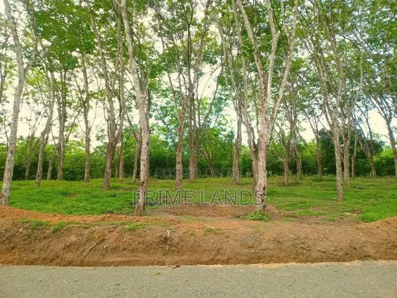 අහංගම සංචාරක කලාපයට ආසන්නව බිම් කොටස්