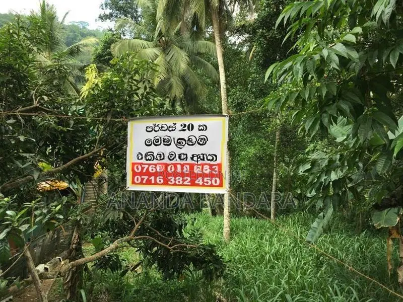 ගන්නෝරුවේ ඉඩමක් විකිණීමට