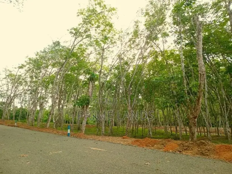 අහංගම සංචාරක කලාපයට ආසන්නව බිම් කොටස්