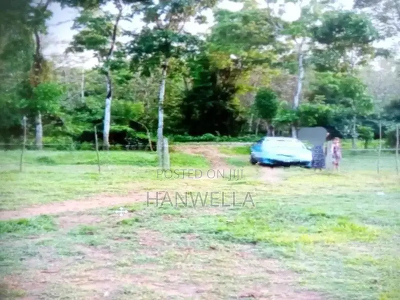 171 Perch Land Hanwella