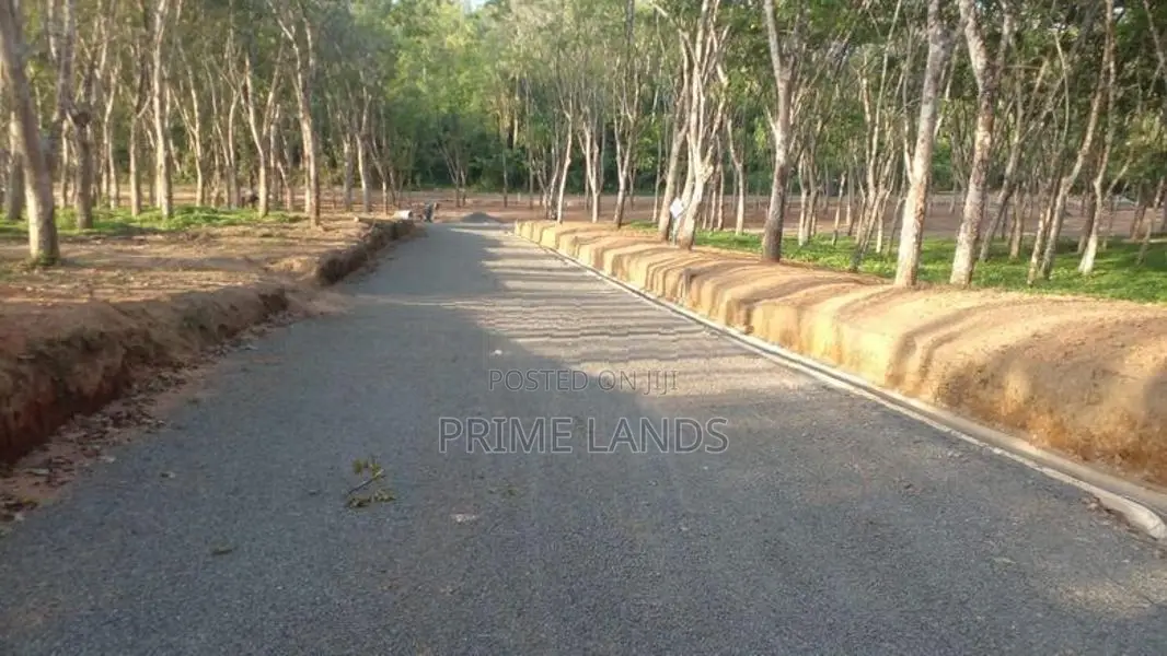 අහංගම සංචාරක කලාපයට ආසන්නව බිම් කොටස්