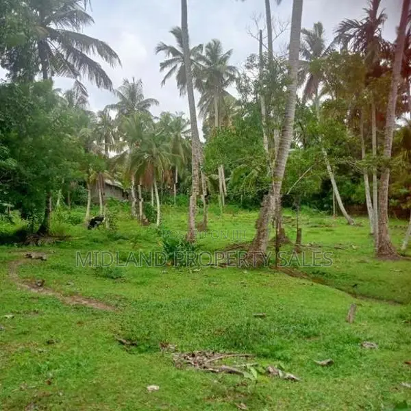 වට්නා පොල් පලදාව සහිත ඉඩමක් විකිනීමට බෙම්මුල්ල