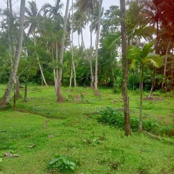 වට්නා පොල් පලදාව සහිත ඉඩමක් විකිනීමට බෙම්මුල්ල