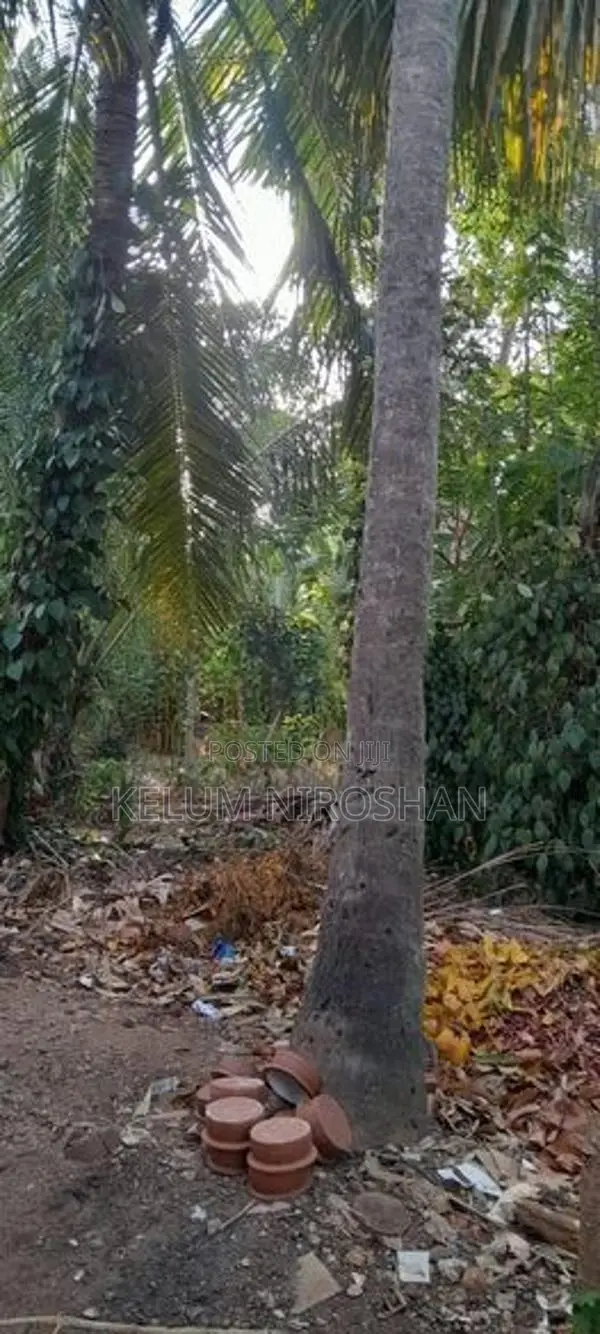 House for Sale Embilipitiya