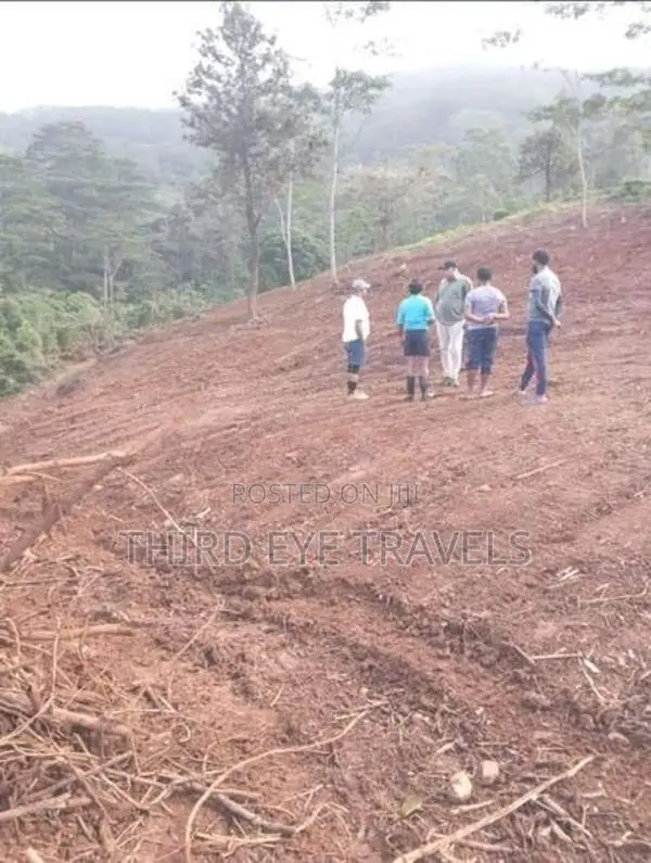 10 Acre Developing Cinnamon Estate for Sale – Rattota, Matale