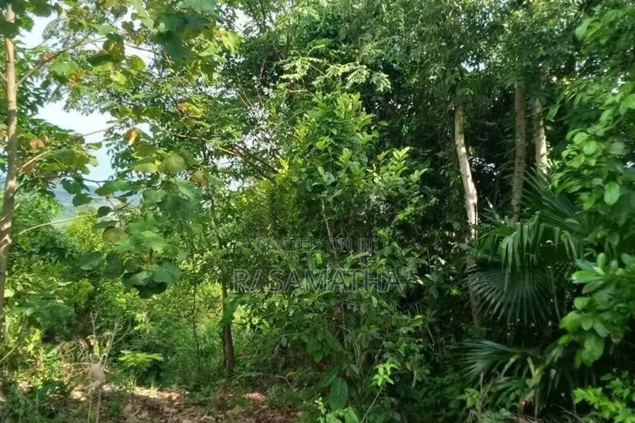 Land for Sale in Matara City