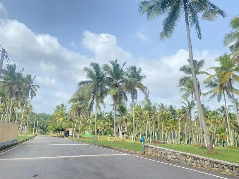 Lands for Sale in Udugampola