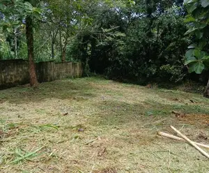Land in Kadawatha - Walipillawa