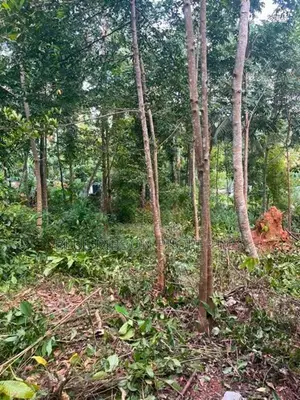 Valuable Land for Sale – Mawanella, Kegalle