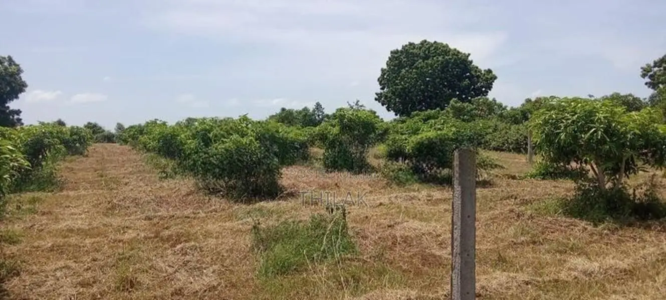 Land For Sale In Tangalla