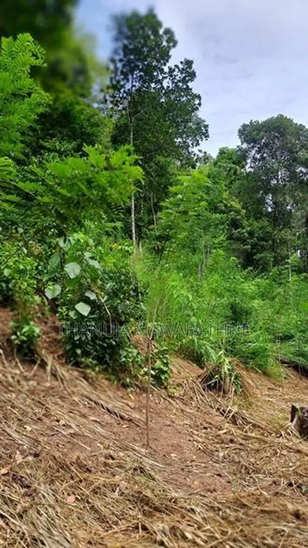148P Land for in Kandy Gelioya