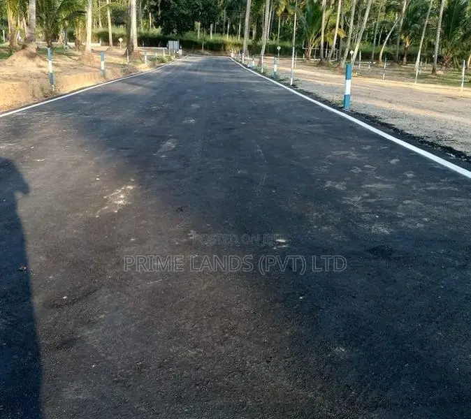 Land for Sale in Naiwala