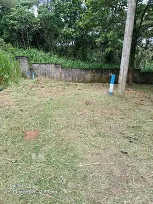 Land in Kadawatha - Walipillawa