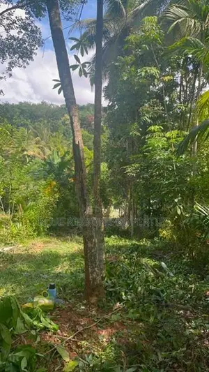 Valuable Land for Sale – Mawanella, Kegalle
