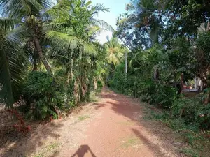 Land for Sale in Chilaw