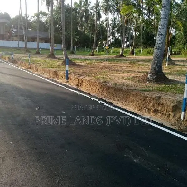 Land for Sale in Naiwala