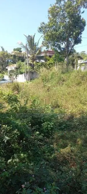 Land for Rent Kadawatha, Kokis Kade Junction