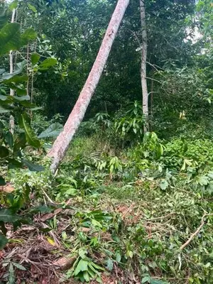 Valuable Land for Sale – Mawanella, Kegalle