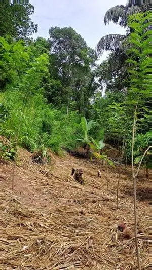 148P Land for in Kandy Gelioya