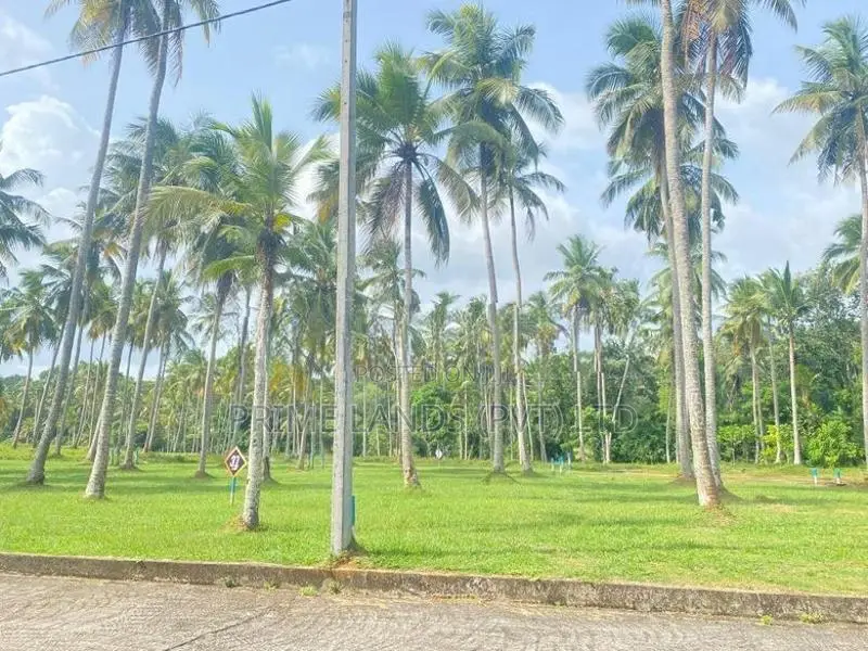 Lands for Sale in Udugampola