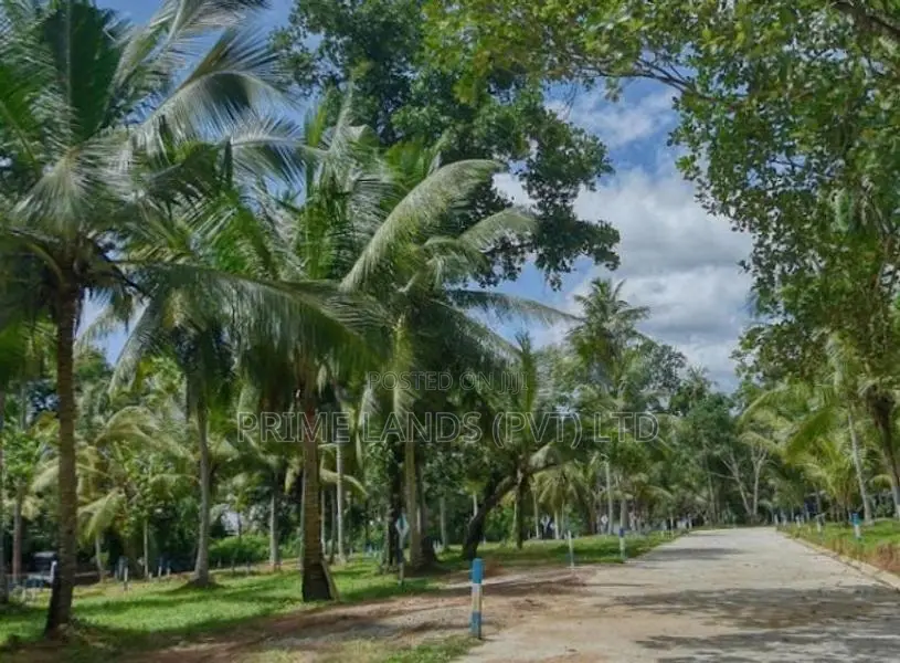 Residential Land Plots in Minuwangoda