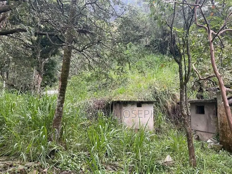 House for Sale in Ella