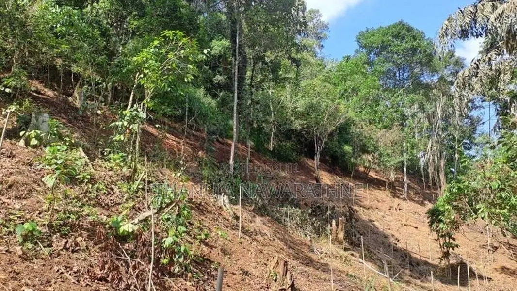 148P Land for in Kandy Gelioya