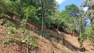 148P Land for in Kandy Gelioya