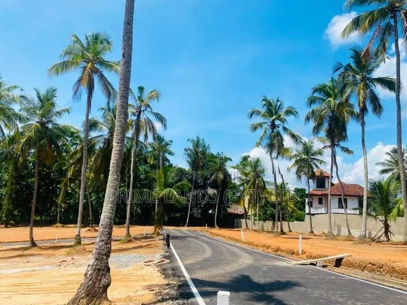 කදාන රිලවුල්ල දොලහේන පාරෙන් ඉඩමක්