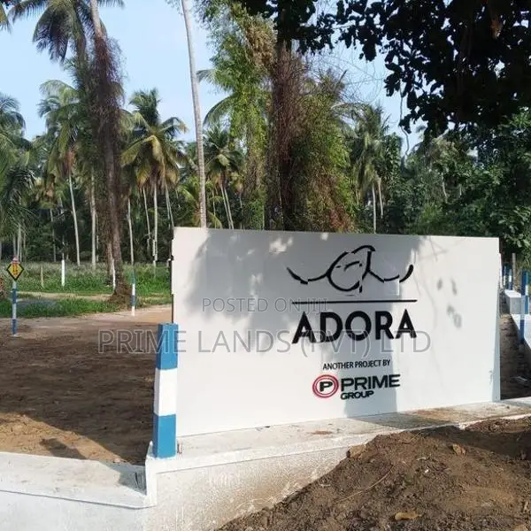 Land for Sale in Naiwala