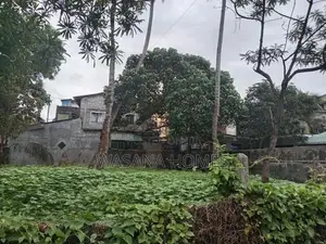 Prime Land for Sale Boralesgamuwa