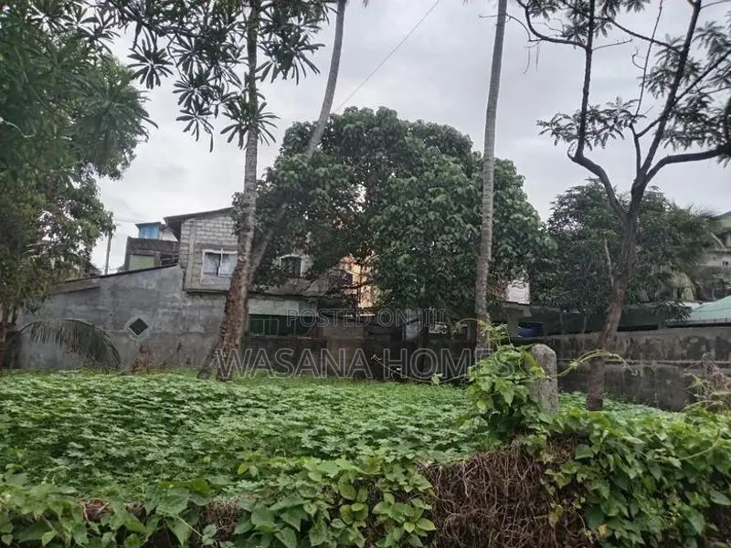 Prime Land for Sale Boralesgamuwa